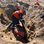 mufa de unión sistema eléctrico MT